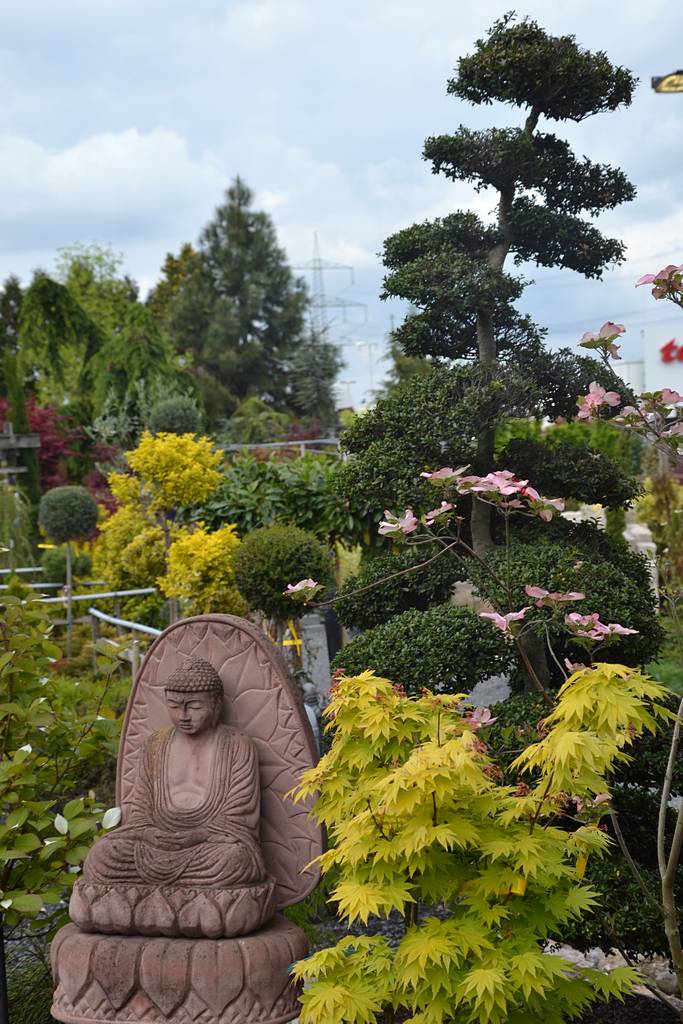Asiatisches Ambiente ist in vielen Gärten zu finden.