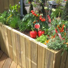 Haufler Baumschule & Gartengestaltung aus Rodgau